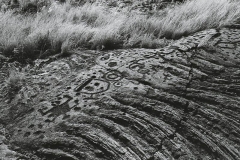 Hawaian Petroglyphs