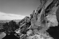 Cienegia Petroglyphs