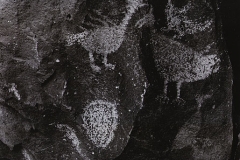 Cienegia Petroglyphs