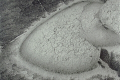 Bisti Badlands