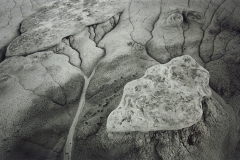 Bisti Badlands