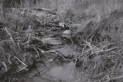 melting snow and ice and a beaver dam