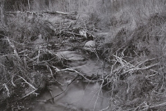 melting snow and ice and a beaver dam