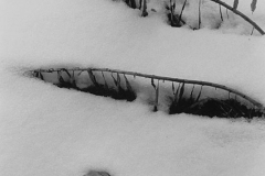 ghost ranch, snow