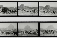 Cattle Drives (2000 & 2001}, Ghost