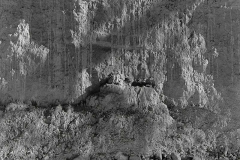 Box Canyon, Ghost Ranch