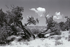 Chimney Rock Path