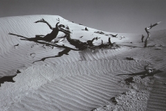 Death Valley Sand Dunes