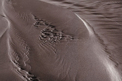 Great Sand Dunes Stream