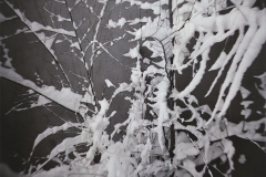 branches with snow